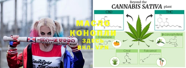 тгк Абаза