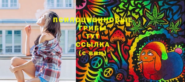 тгк Абаза