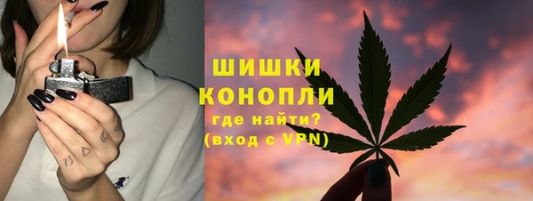 PSILOCYBIN Алексеевка