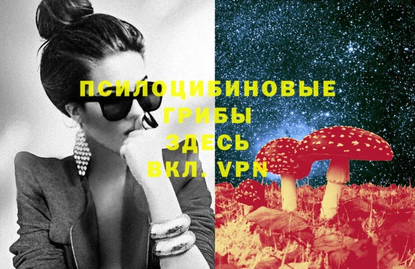 тгк Абаза