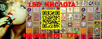 гашик Жуковский