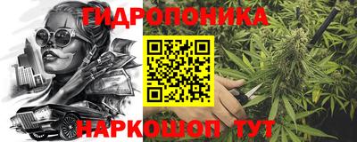 гашик Жуковский