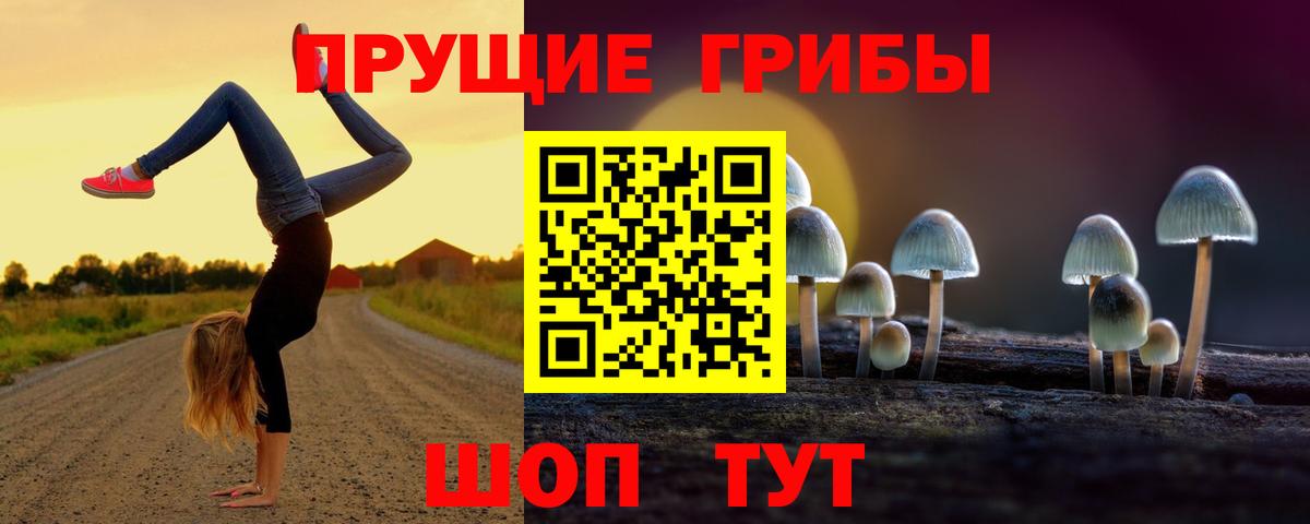 Псилоцибиновые грибы ЛСД Лабытнанги